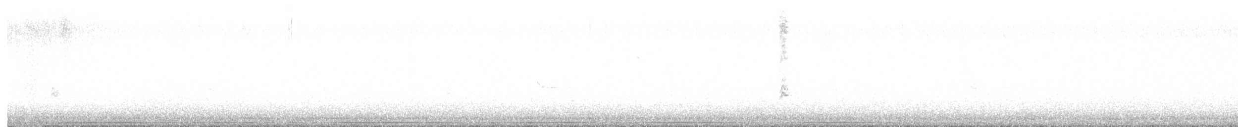 Red-breasted Nuthatch - ML645614550