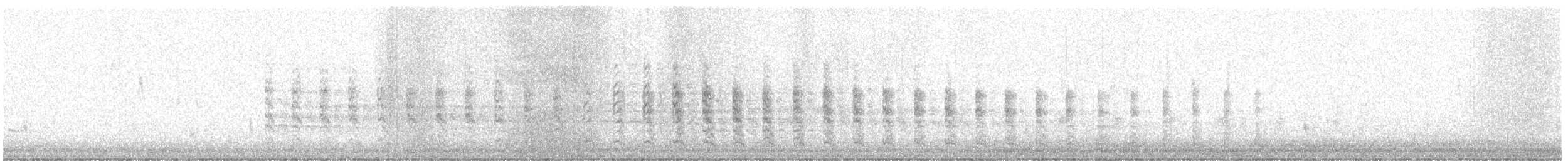 Clapper Rail (Atlantic Coast) - ML645615215