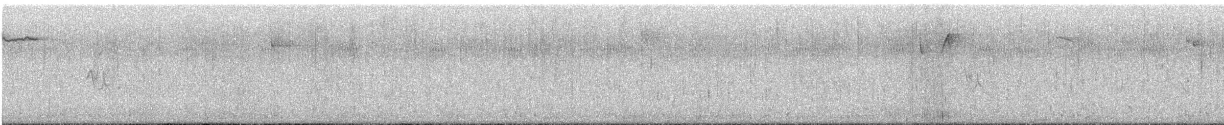 Hegaztia sp. - ML645615459