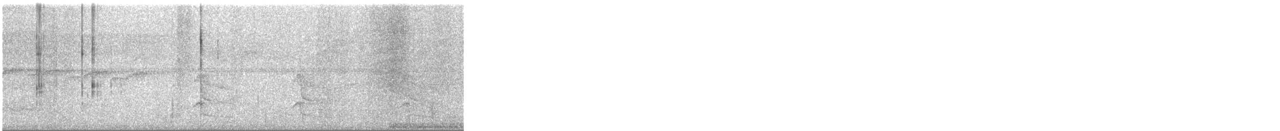 Ochre-bellied Flycatcher (oleagineus Group) - ML645616167