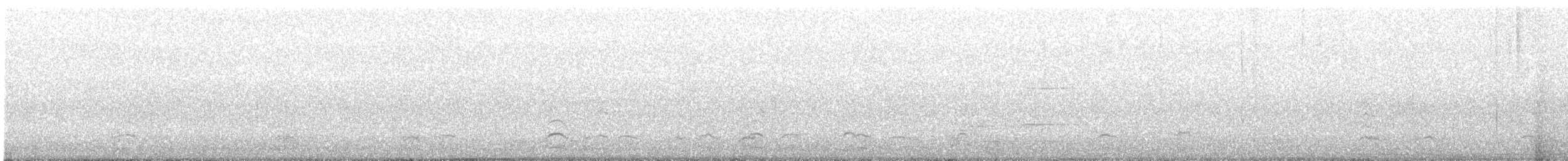 Snow Goose - ML645616364