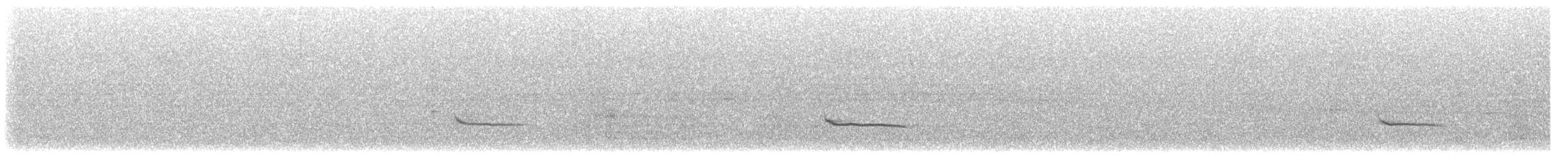 Say's Phoebe - ML645616677