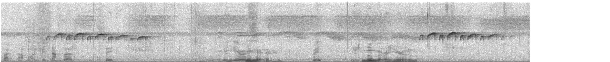 Schmuckbrust-Ameisenvogel - ML645616714