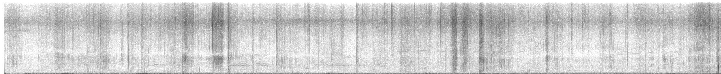 frankolín křepelčí - ML645616719