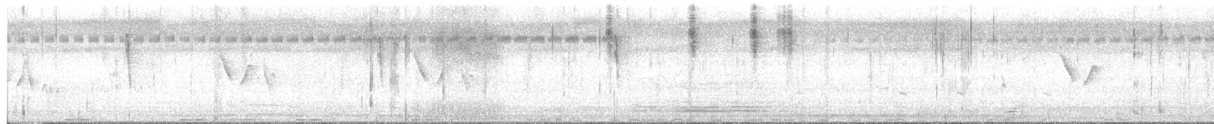 hrdlička senegalská - ML645617028