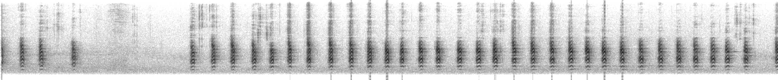 brhlík americký - ML645617432