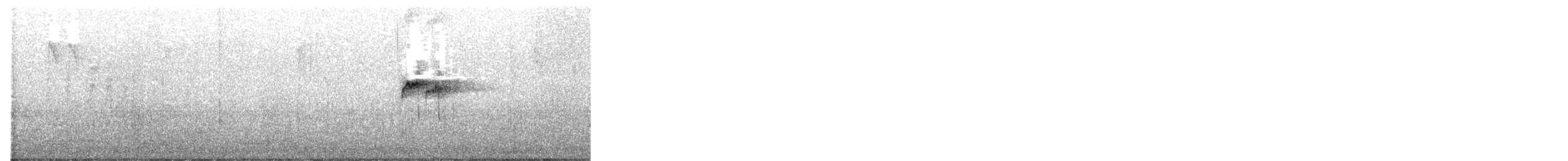 pisík obecný - ML645617458