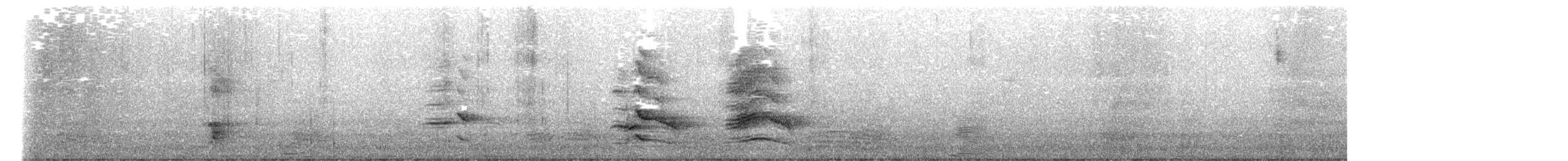 Alexandrine Parakeet - ML645617464