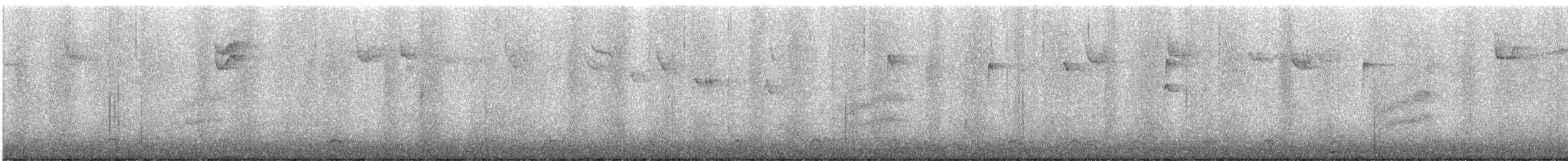 Spotted Towhee - ML645617640