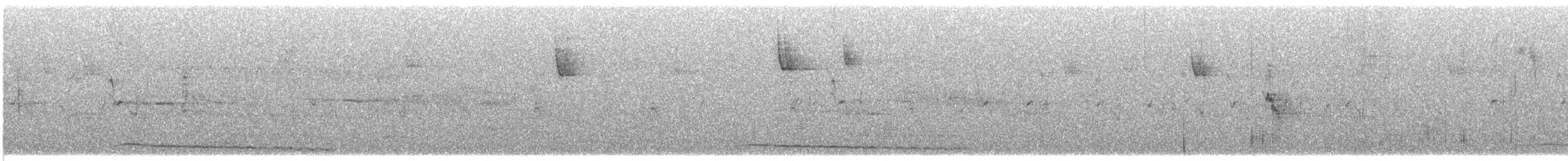 výreček americký - ML645617693