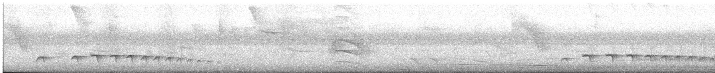 Parker's Antbird - ML645617731