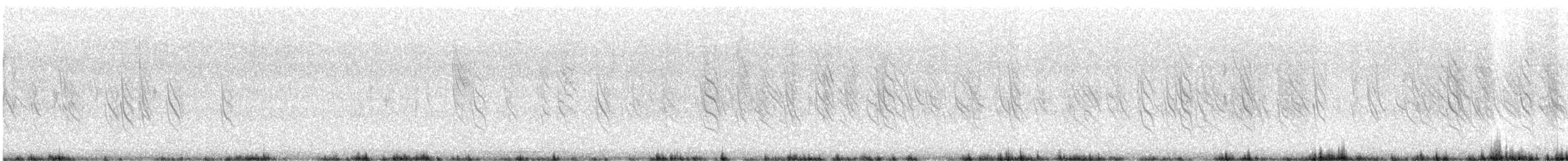 astrild vlnkovaný - ML645617948