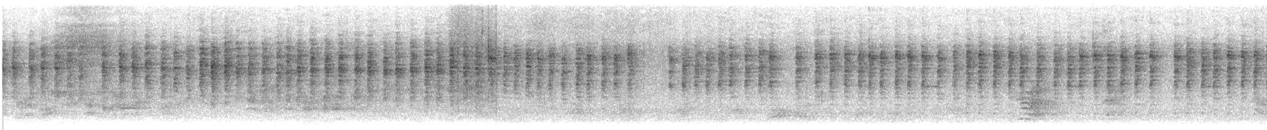 králíček americký - ML645618179