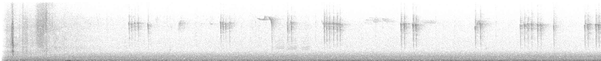 střízlík kanadský - ML645618216