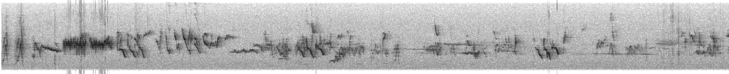 strnadec bělopásý (ssp. gambelii) - ML645618580