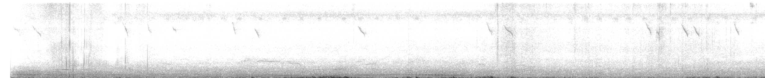 sýkora karolínská - ML645618654