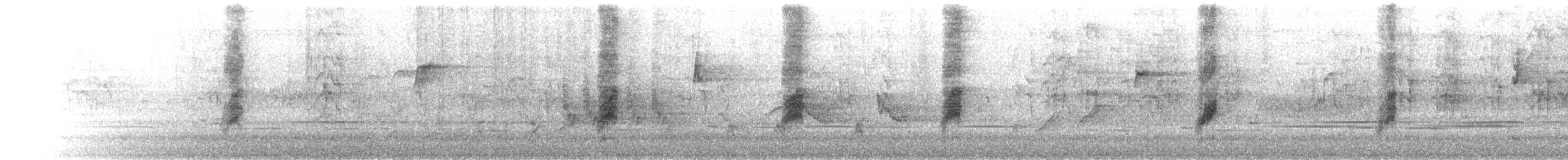 laločnatka jihoaustralská - ML645618673