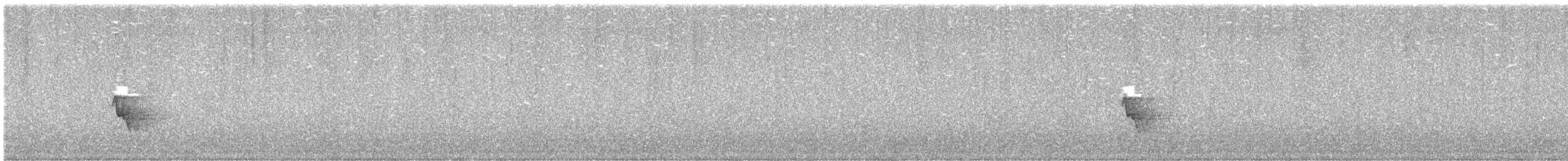 hvitvikhonningeter - ML645618989