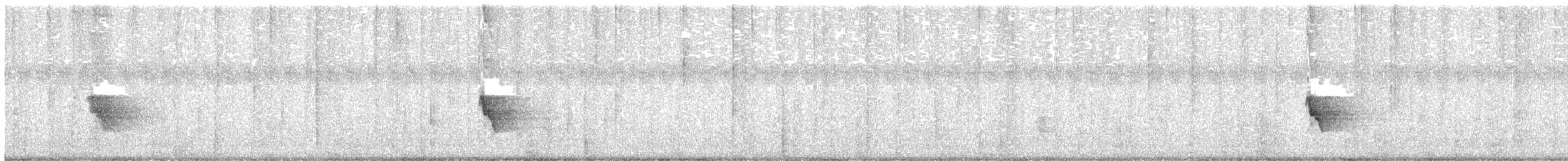 hvitvikhonningeter - ML645618992