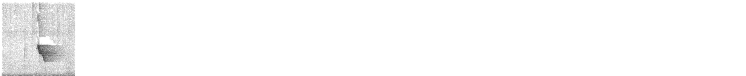 hvitvikhonningeter - ML645618993