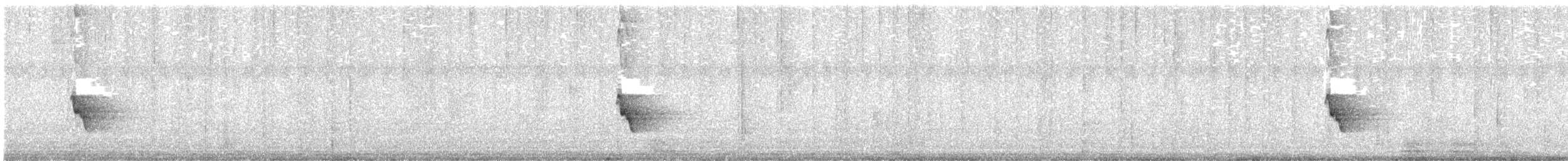 hvitvikhonningeter - ML645618995