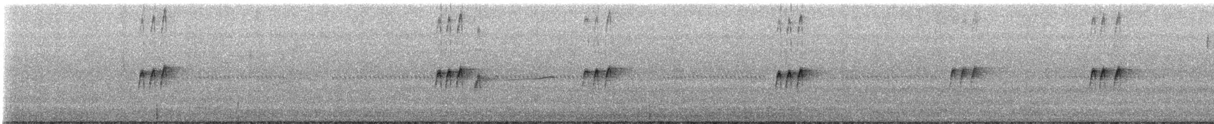 Tropical Kingbird - ML645619131