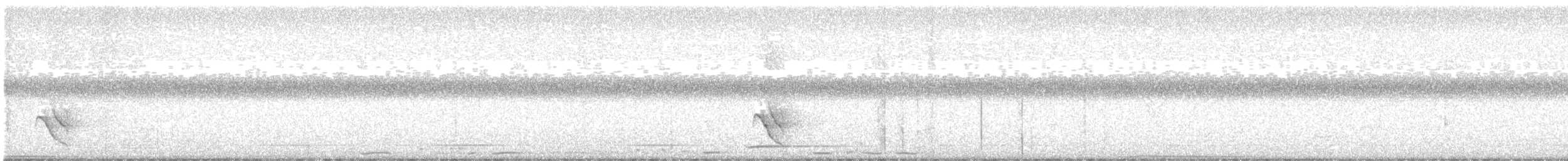 australiafikenfugl - ML645619151