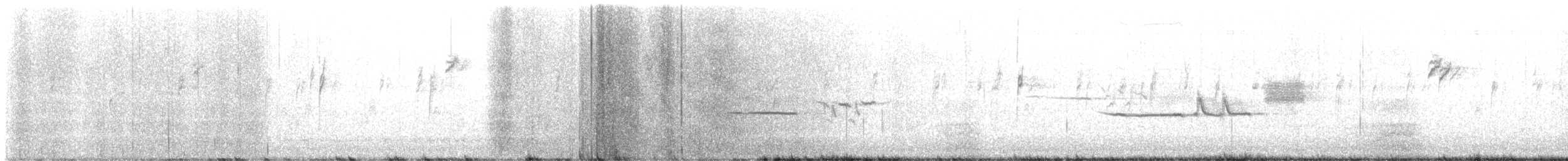 White-crowned Sparrow - ML645619309