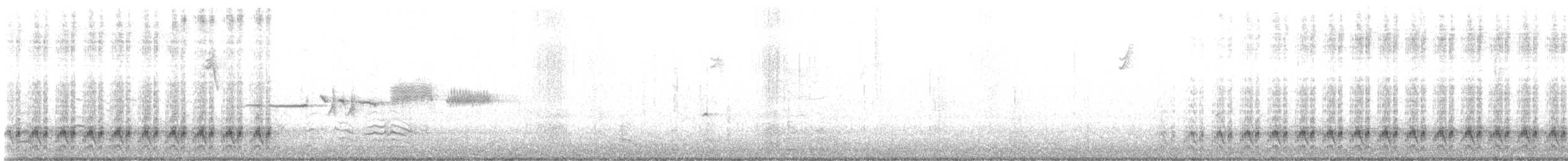 Cactus Wren - ML645619670