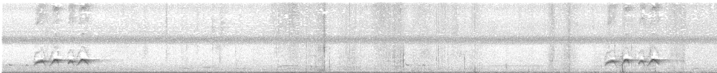 Rainbow Pitta - ML645619785