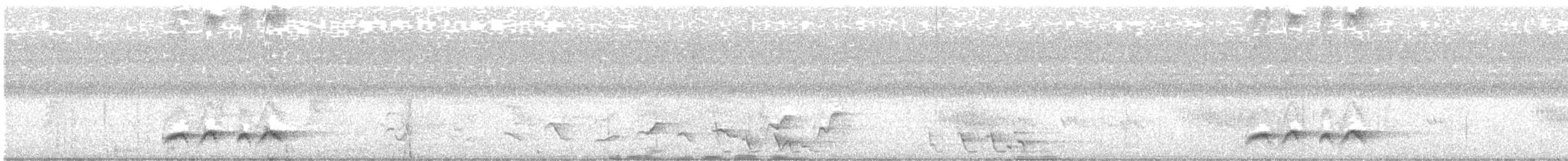 Rainbow Pitta - ML645619788