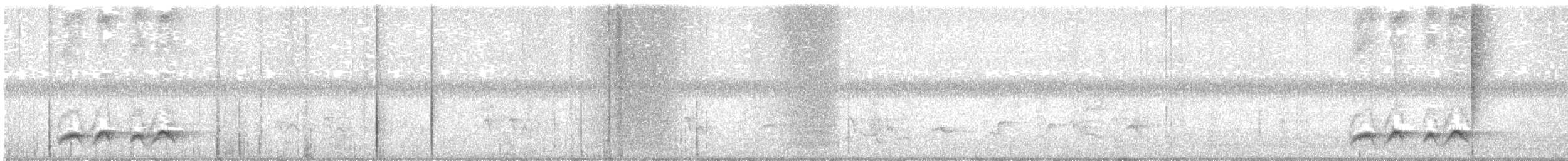 Rainbow Pitta - ML645619789