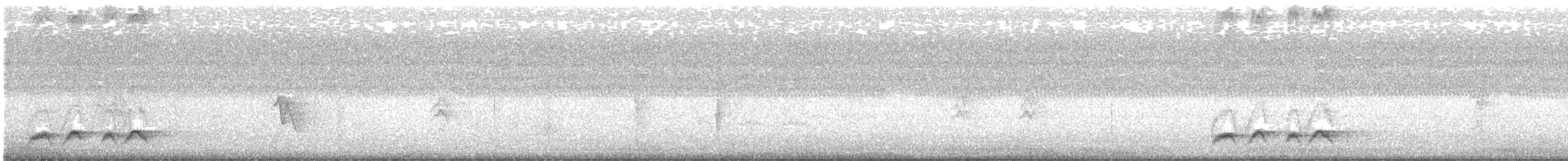 Rainbow Pitta - ML645619791