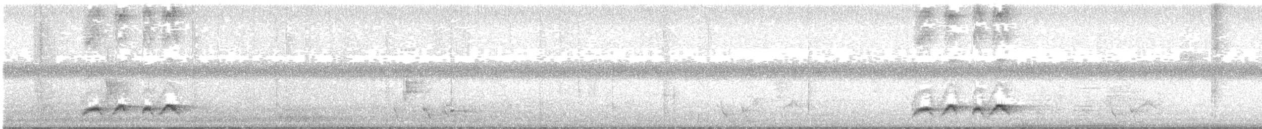 Rainbow Pitta - ML645619797