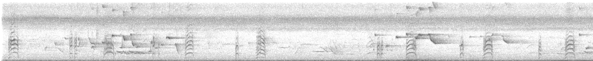 Südsee-Sumpfhuhn - ML645620535