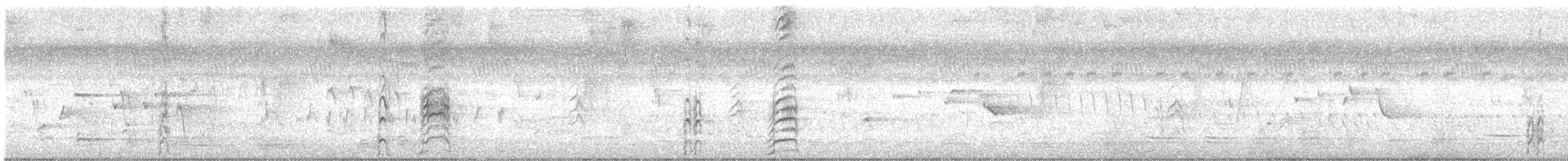 Südsee-Sumpfhuhn - ML645620539