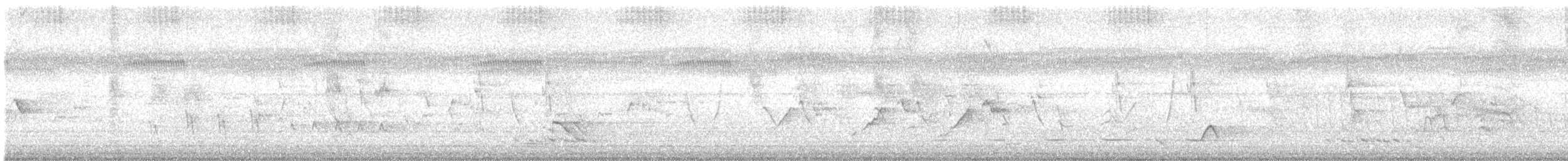 Weißkehlmonarch - ML645620561