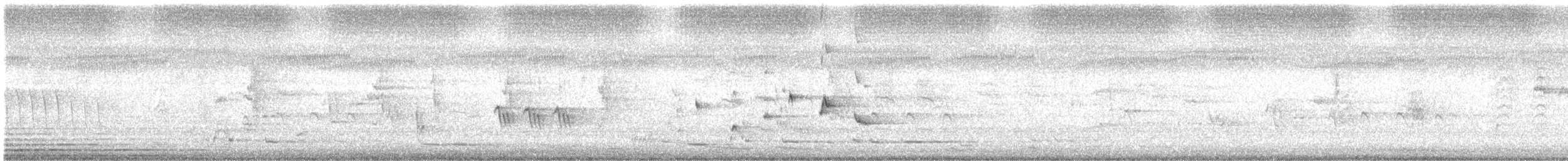 White-winged Triller - ML645620580