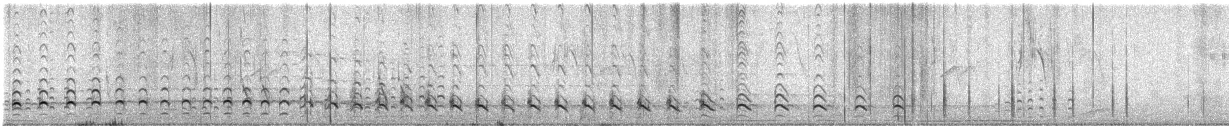 Peruvian Thick-knee - ML645620611