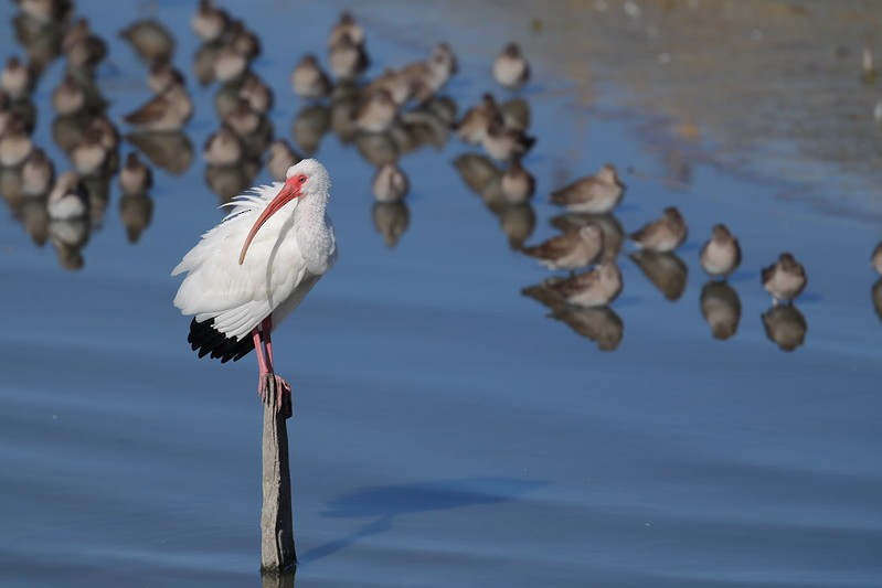 Ak Aynak - ML645620612