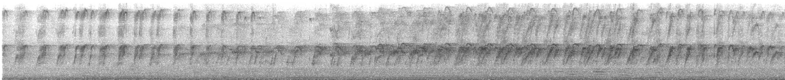 White-naped Swift - ML645620629