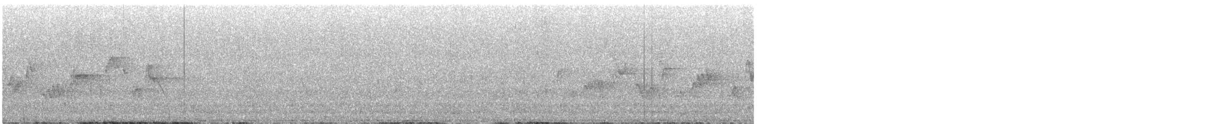 Western Warbling Vireo - ML645620794