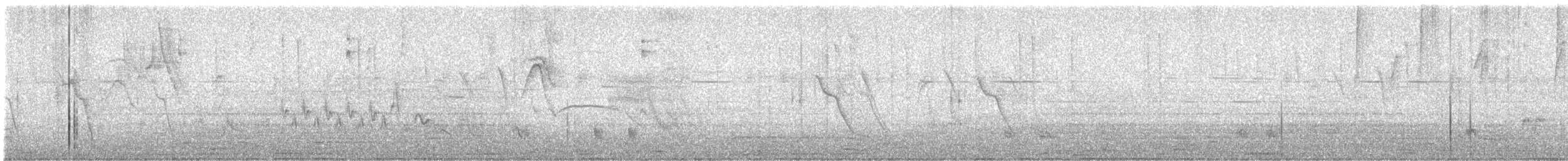 Southern House Wren - ML645620875