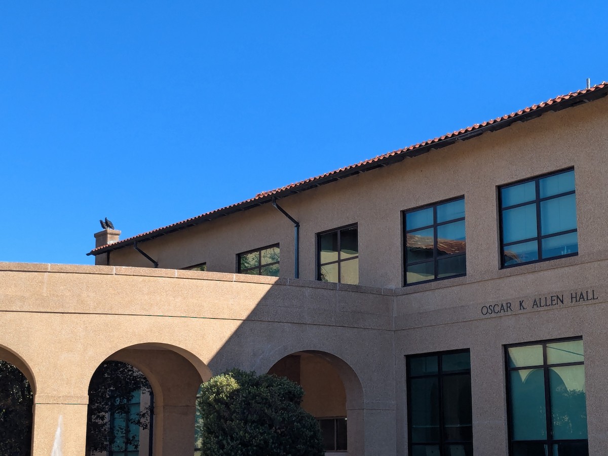 Black Vulture - ML645620934