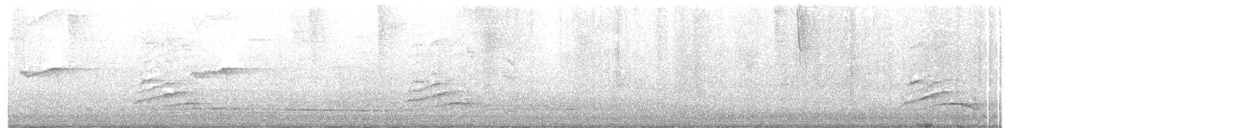 Spectacled Thrush - ML645621221