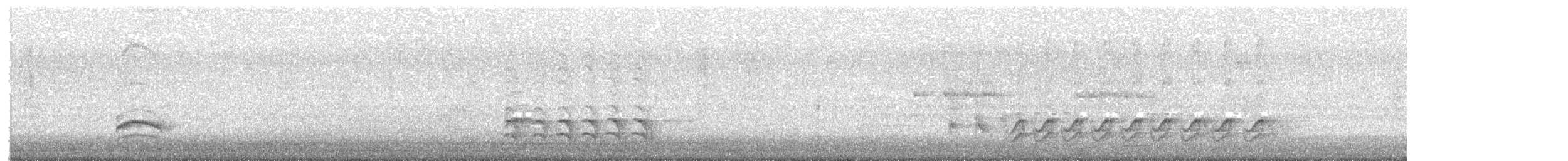 White-breasted Nuthatch - ML645621222