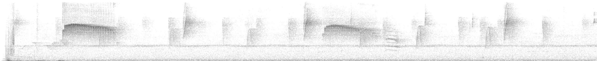 Spotted Barbtail - ML645622192