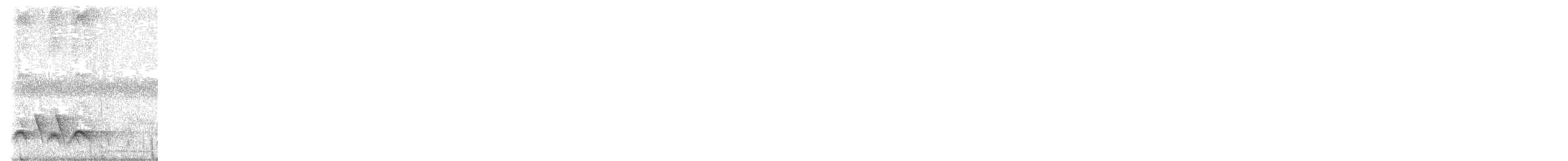 Rainbow Pitta - ML645622337