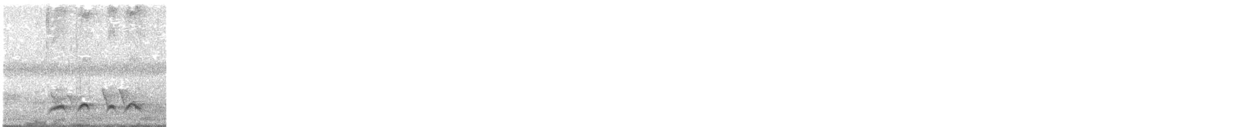 Rainbow Pitta - ML645622338