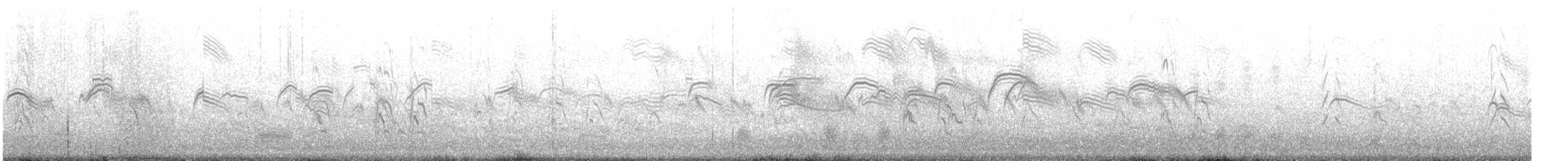 Pallid Swift - ML645622403